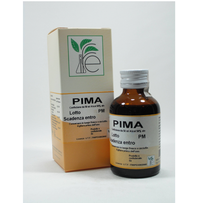 IFE - PIMA 2